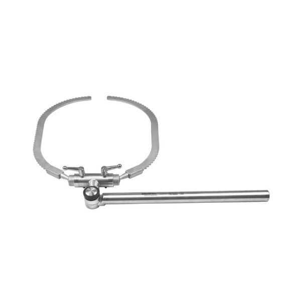 Eagle Split Ring With Integrated Horizontal Bar
